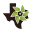 Texas Super Food